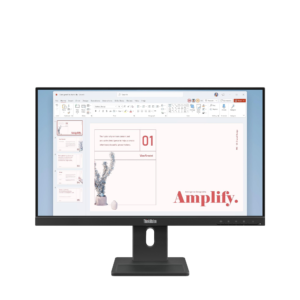 LENOVO THINKVISION E24-40, 23.8-inch FHD Monitor,64BAMAT1UK